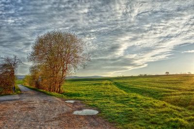 Scenic view of field against cloudy sky