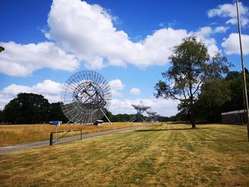 Trees on field against sky
