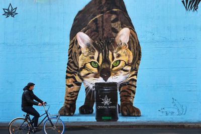 Full frame shot of cat with graffiti on wall