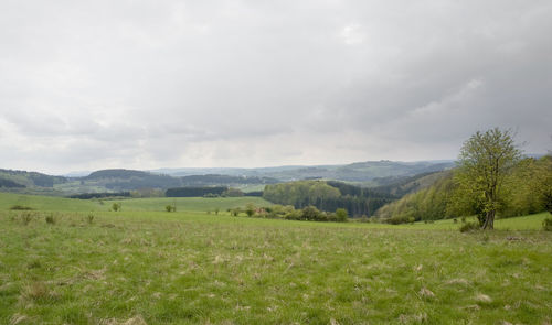 Scenic view of landscape against sky