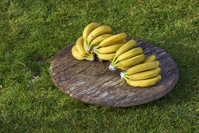 High angle view of bananas on wood at grassy field