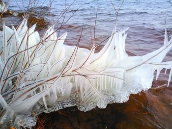 Close-up of icicles on sea shore during winter