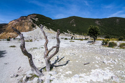 mountain