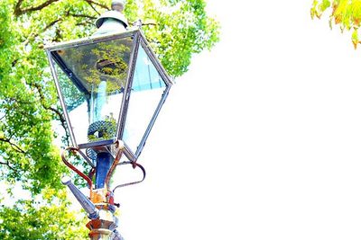 Low angle view of street light against clear sky