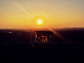 Silhouette monkey standing on landscape against sunset sky