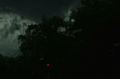 Low angle view of trees against sky at night