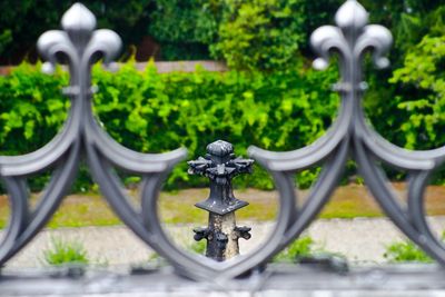 Close-up of metal gate against plants in yard