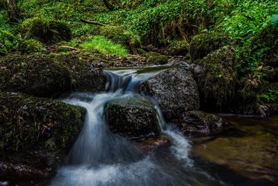 Waterfall in forest