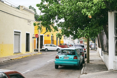 Cars on road by buildings in city