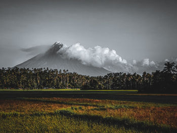 Scenic view of field against sky