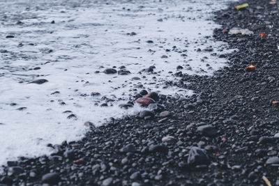 Close-up of wet pebbles on beach during winter