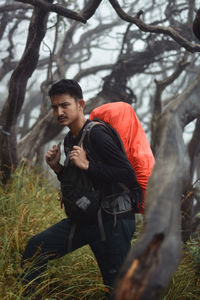 Dead forest area of mount bawakaraeng, indonesia