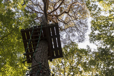 Low angle view of trees in forest against sky