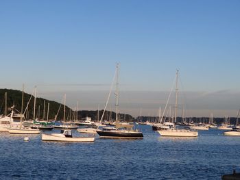 Sailboats moored in marina against clear blue sky