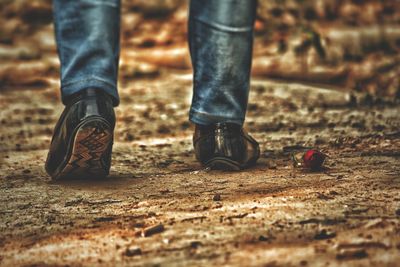 Low section of man standing by rose on road