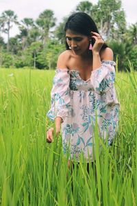 Mother tending the rice  field