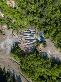 High angle view of trees by lake in forest