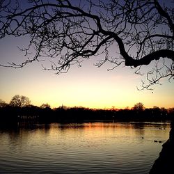 Silhouette of bare trees by lake at sunset