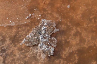 High angle view of ice crystals on land