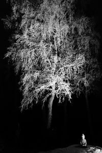 Low angle view of silhouette sky at night