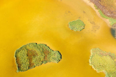 Aerial view of island in lake