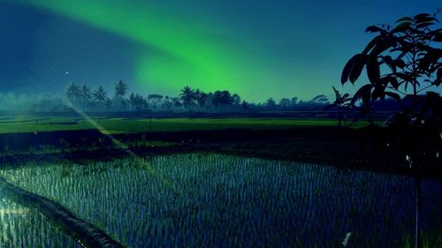 Scenic view of field against sky at night