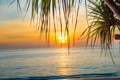 Scenic view of sea against orange sky
