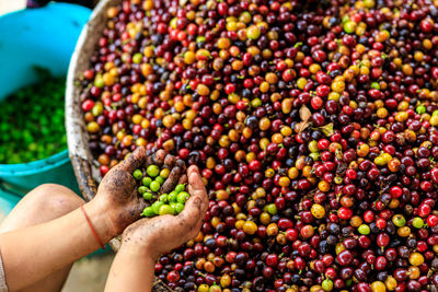 Midsection of person holding coffee beans 