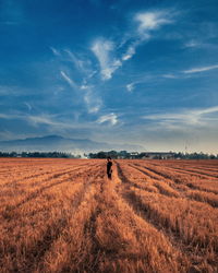 Man walking on field against sky