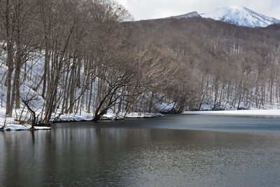 Bare trees by lake against sky during winter