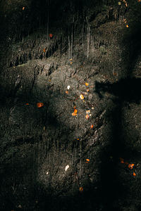 High angle view of illuminated street