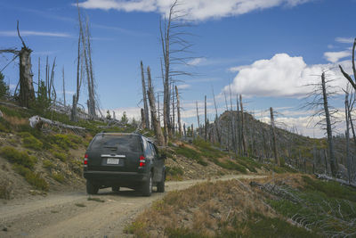 Suv on gravel road in the mountains surrounded by dead burned trees