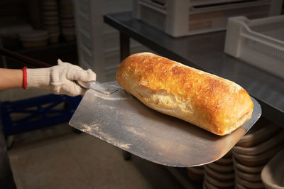 Female hands in gloves hold a shovel with a loaf of artisan bread. homemade bread production