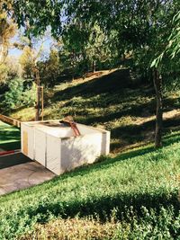 Trees growing on grassy field