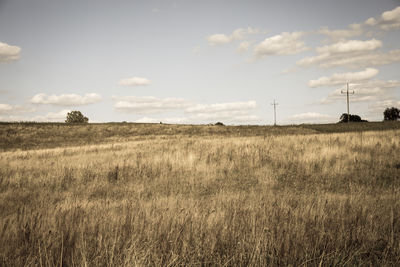 Scenic view of field against sky