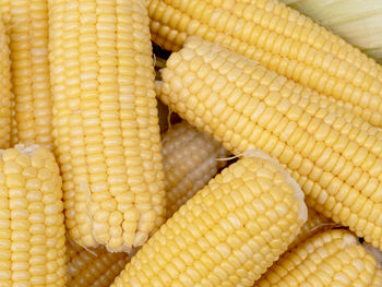 Top-view group freshness seeds of sweet corn on the table. fresh raw maize