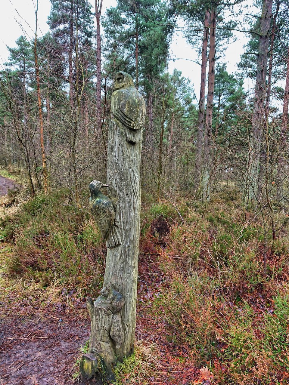 STATUE AMIDST TREES IN FIELD