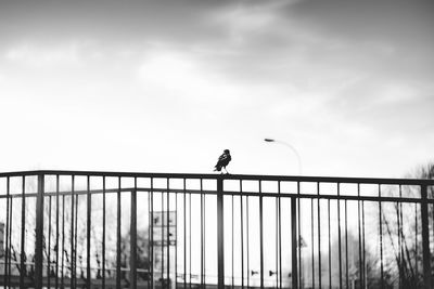 Low angle view of man on footbridge against sky