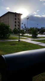 Trees on lawn with buildings in background