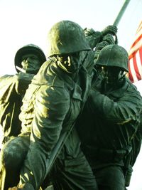 Full frame shot of palm tree