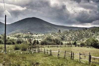 Scenic view of field against sky