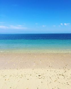 Scenic view of beach against blue sky