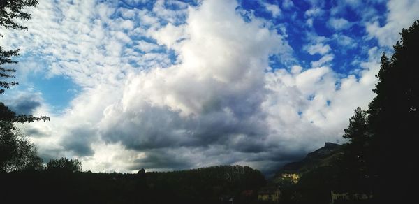 Low angle view of trees against sky