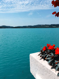 Scenic view of sea against blue sky