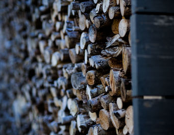 Stacked firewood