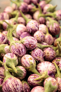 Full frame shot of eggplants for sale at market