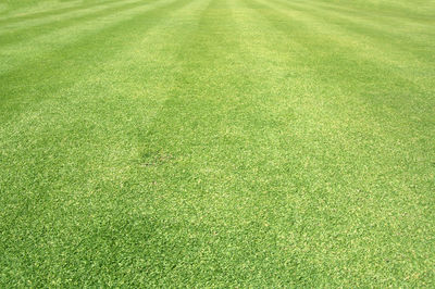 Full frame shot of soccer field