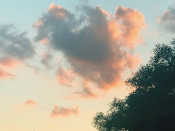 Low angle view of tree against dramatic sky