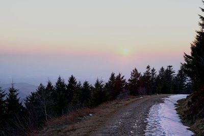 Road amidst trees against sky during sunset