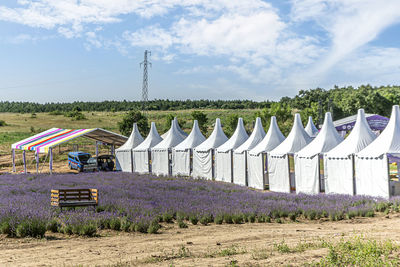 Panoramic shot of plants on field against sky